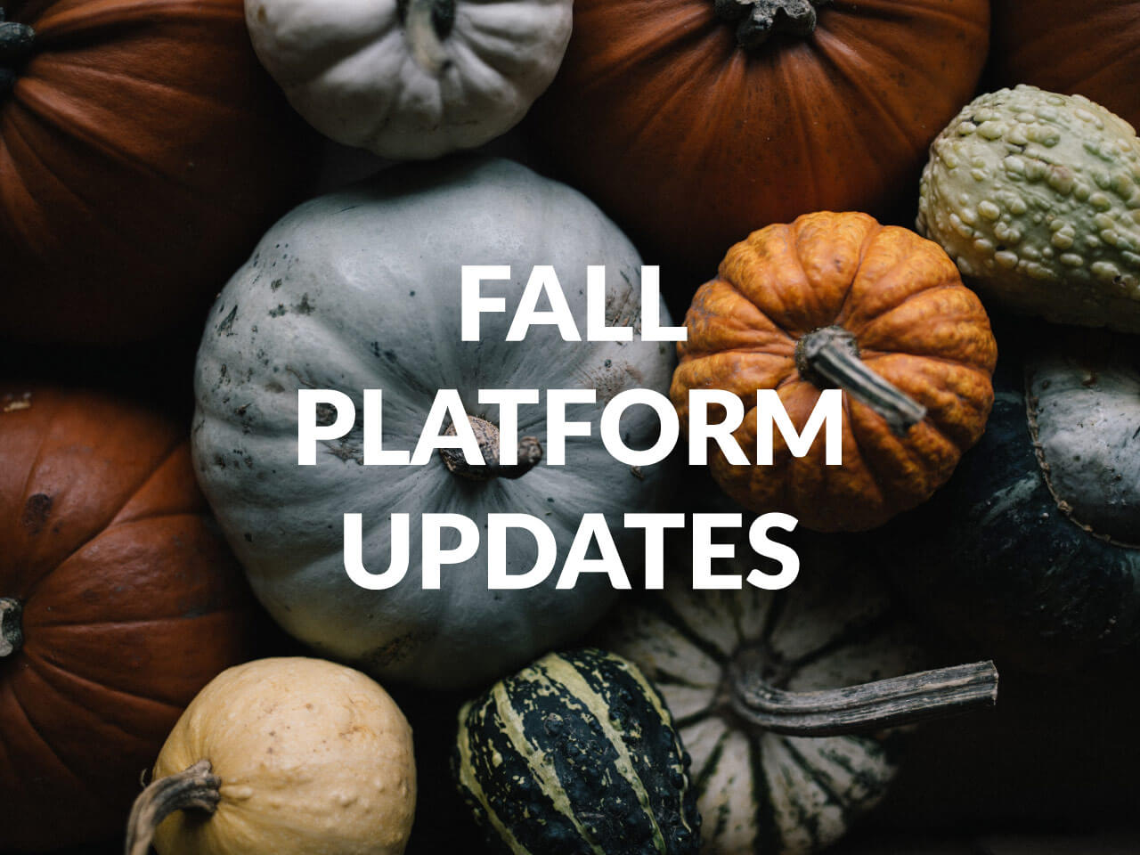 Fall in love with Genuity's newest features.