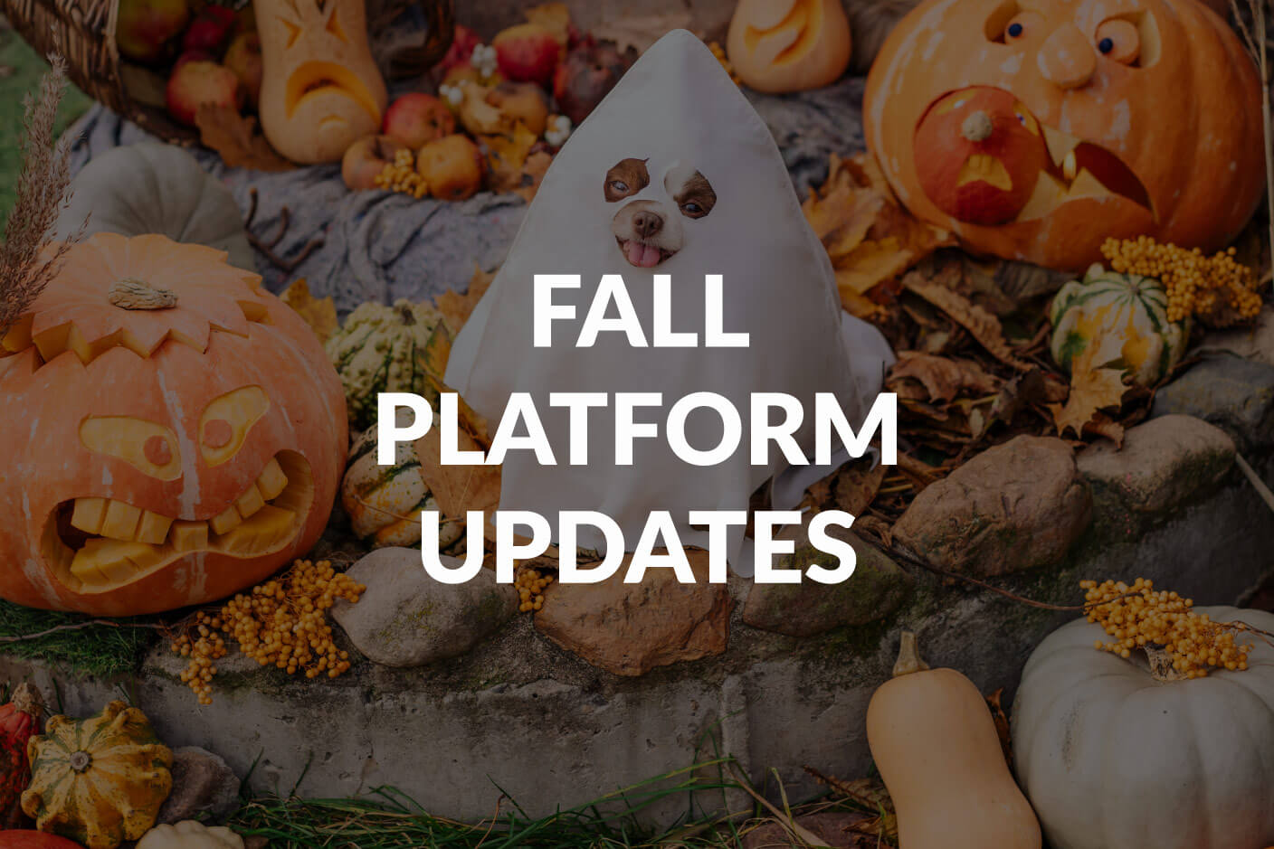 Get ready - tons of updates to the Genuity platform this autumn!