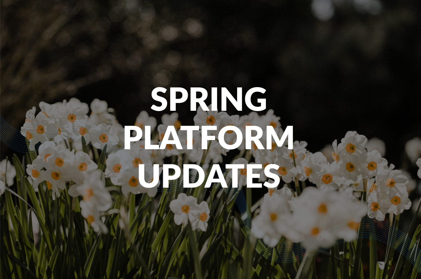 New features are in bloom!