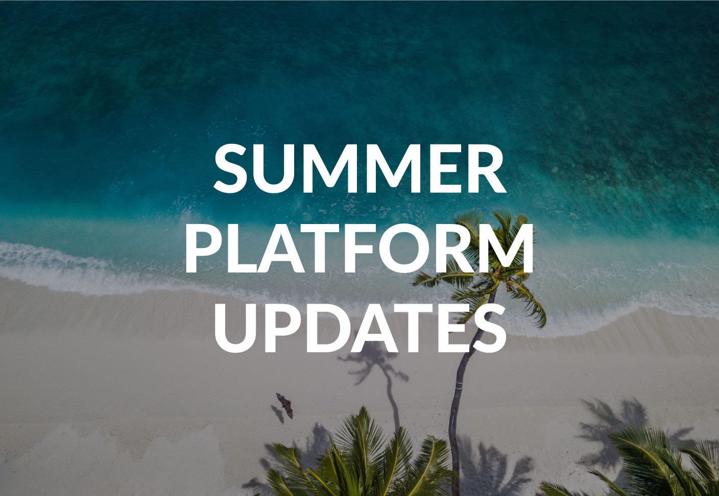 Summer Articles -  Blog